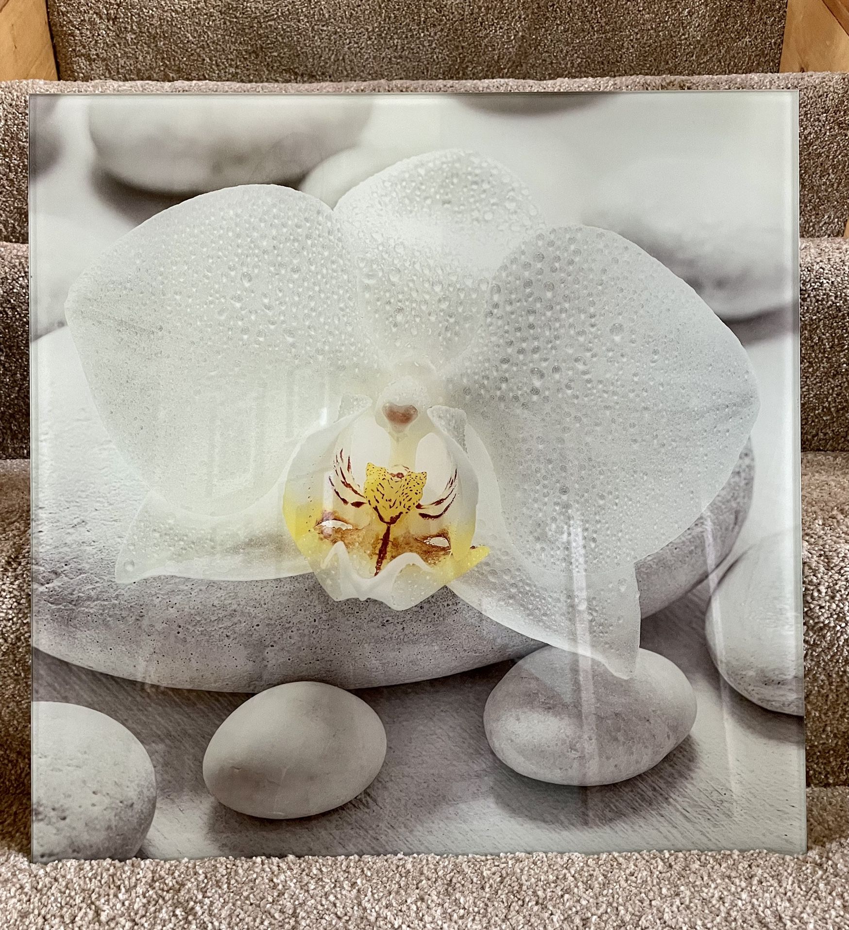 Modern White Orchid Glass Picture