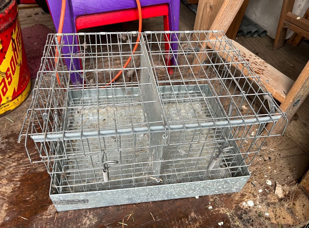 Rabbit Carrying Cage