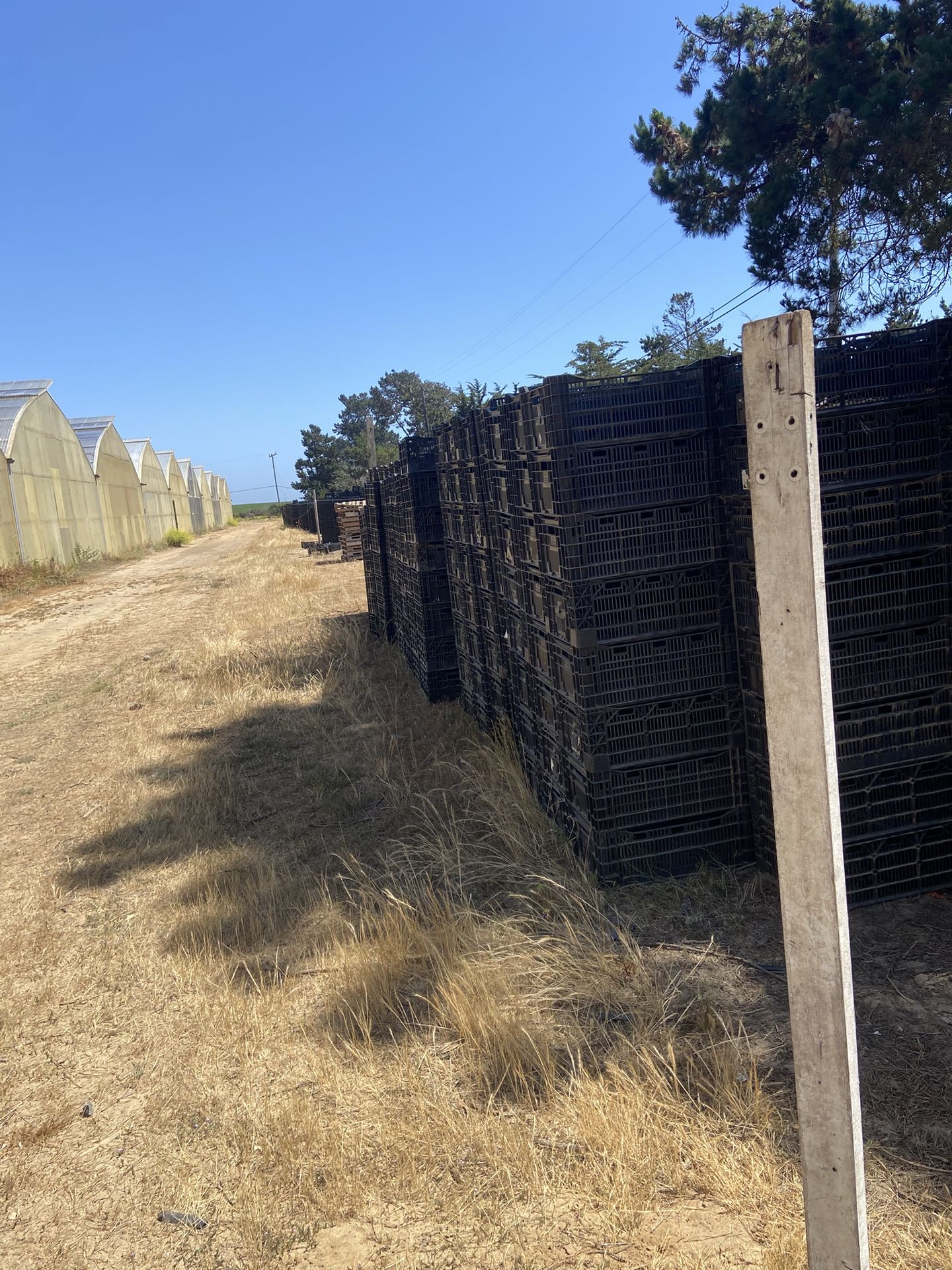 Vented Plastic crates