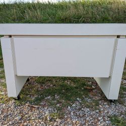 3ft Modern Mobile Desk Or Console Table 