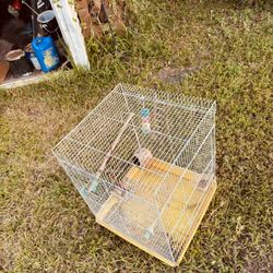 Cage For Love Birds 