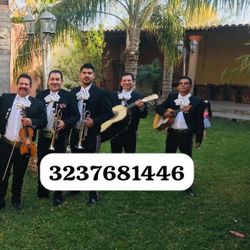 Vihuela Violín Mariachi