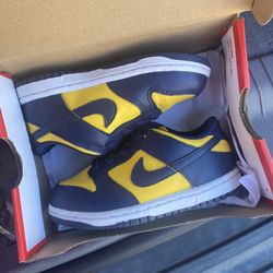 Nike Dunk Low “Michigan” 9c