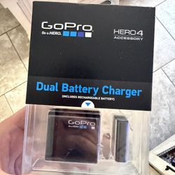 Go pro charger