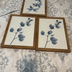 Set Of 3 Botanical Prints 
