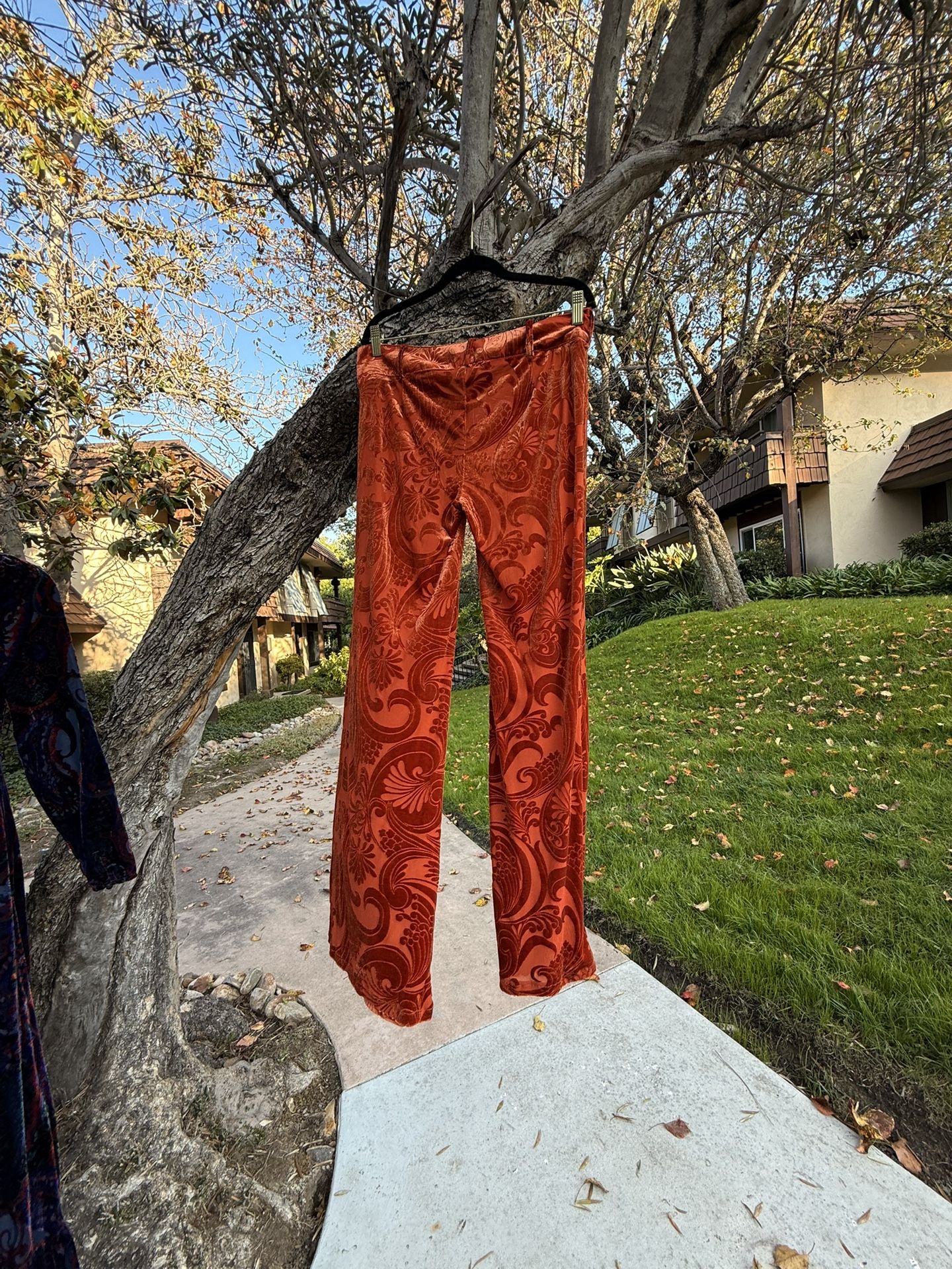 Velvet Pants - Free People Size 10