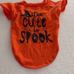 Small Dog Costume