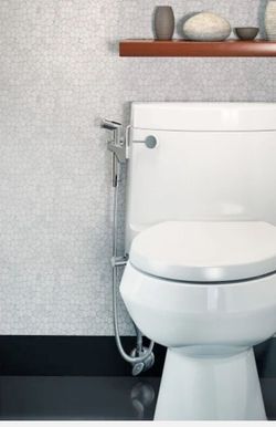 The CleanSpa Essential Hand-held Bidet