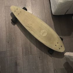 Penny Board Skateboard 