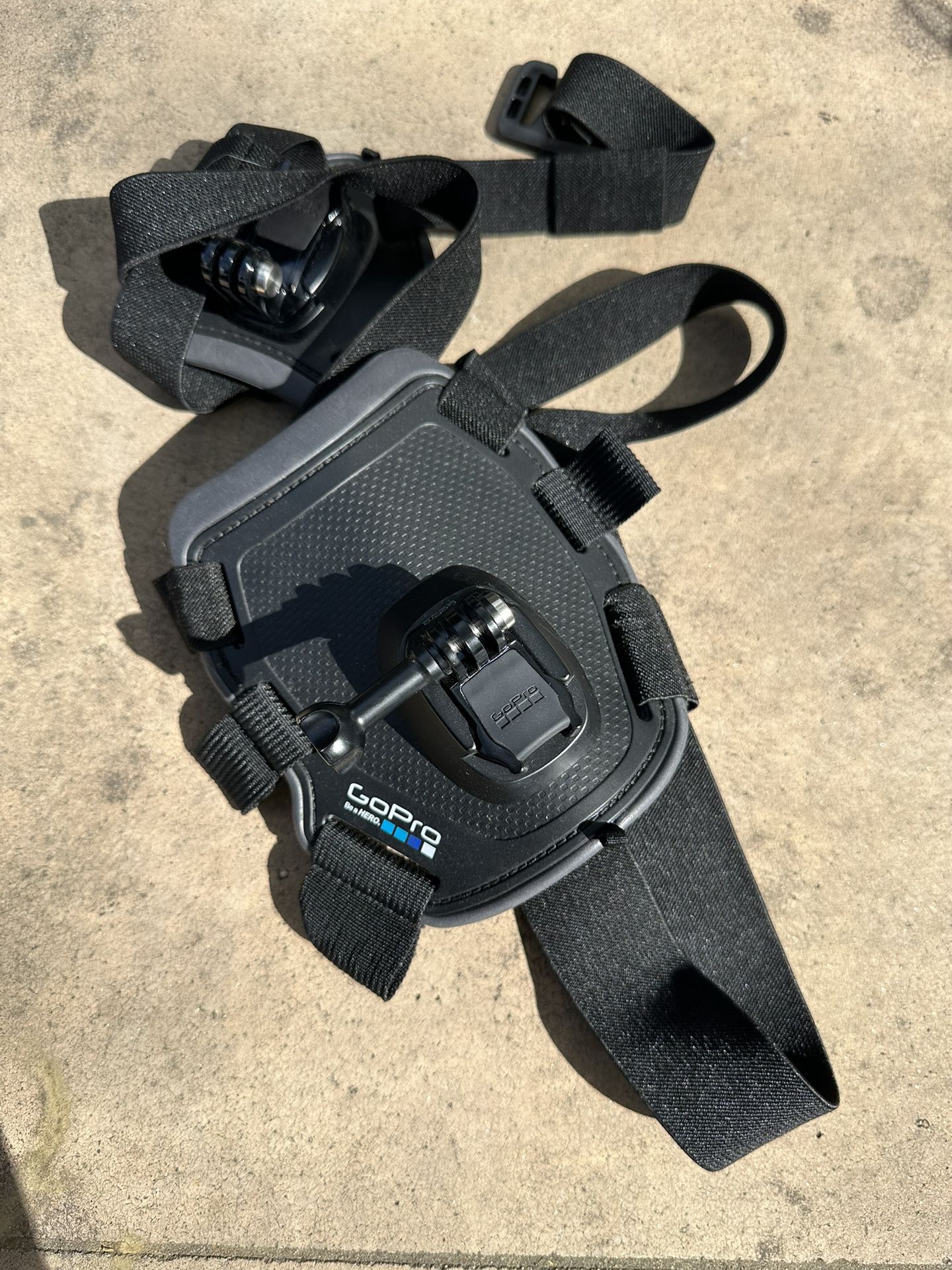 GoPro Dog Harness With Mount