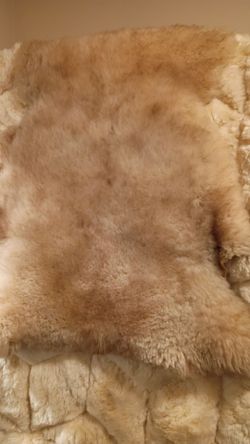Sheepskin hide rug