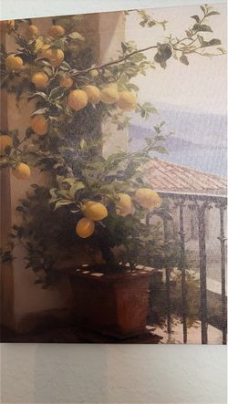 Canvas Print Lemon Tree Balcony Wall Art