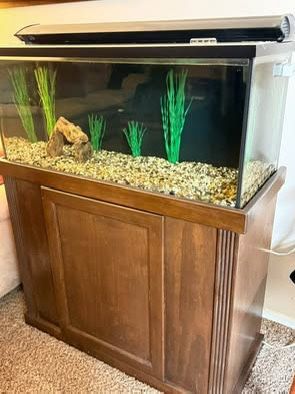 40 gallon Fish Aquarium with stand. Fluval canister filter 203