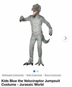 Jurassic World Raptor Costume