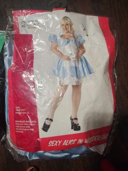 Alice Costume