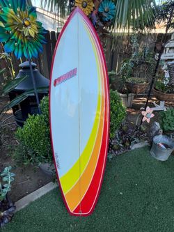 Brand new Lil buddy surf boards