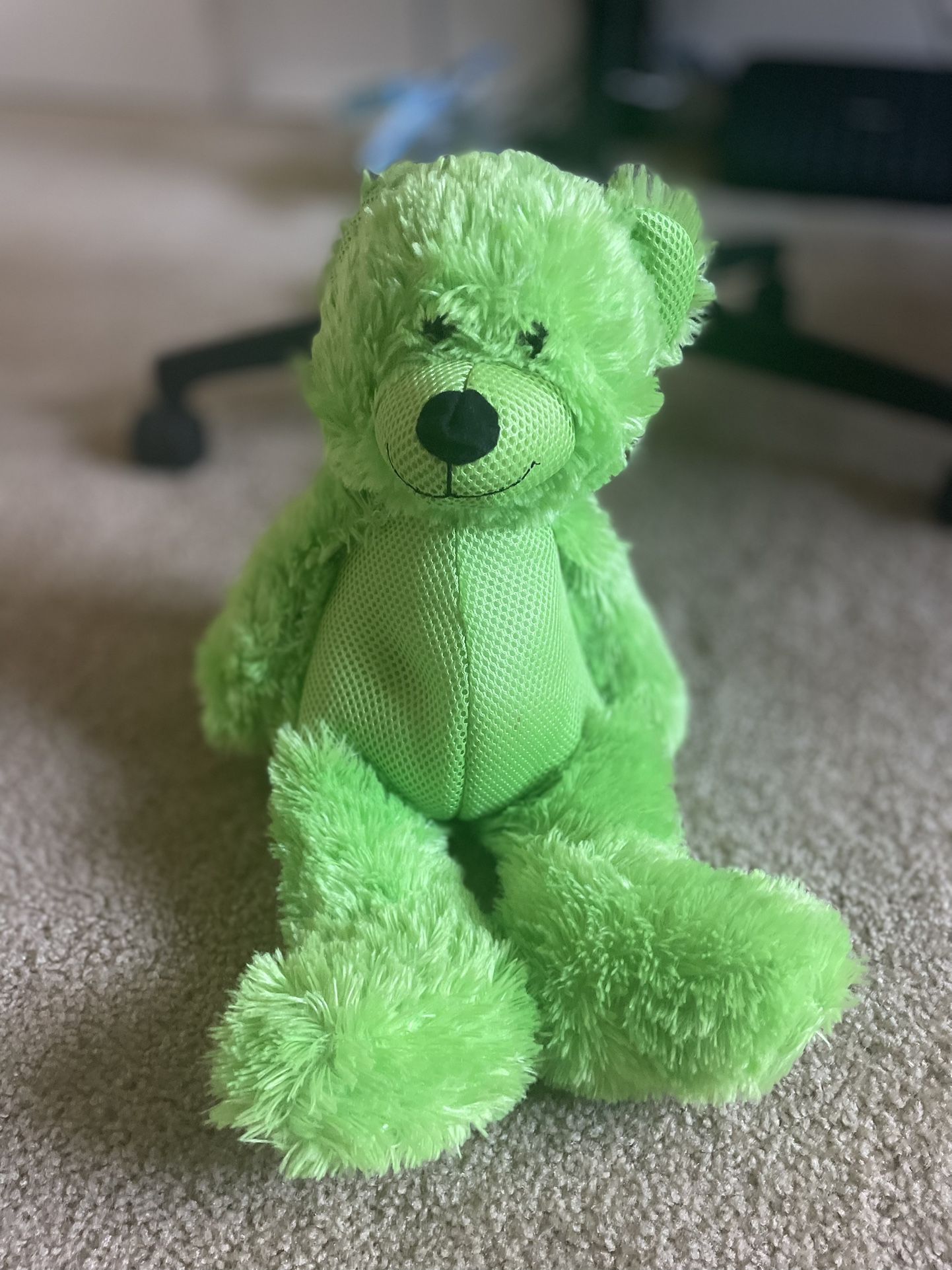 Green Teddy Bear