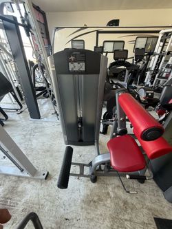 Life Fitness Insignia Series Back Extension – Commercial Gym Equipment