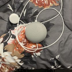 Google Home Mini