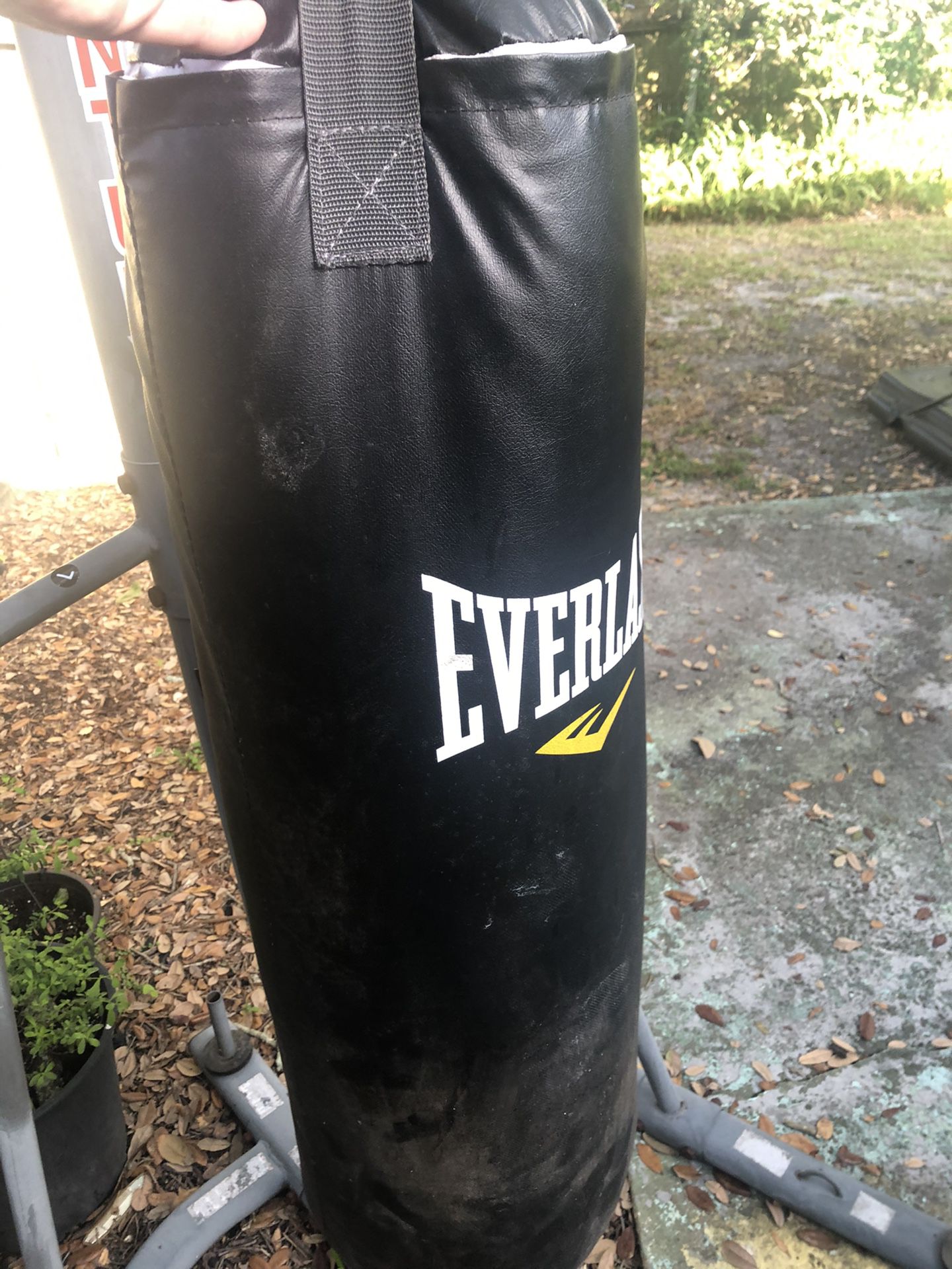 Everlast Punching Bag with Century Stand