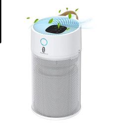TaoTronics Air Purifier, Model TT-AP008.