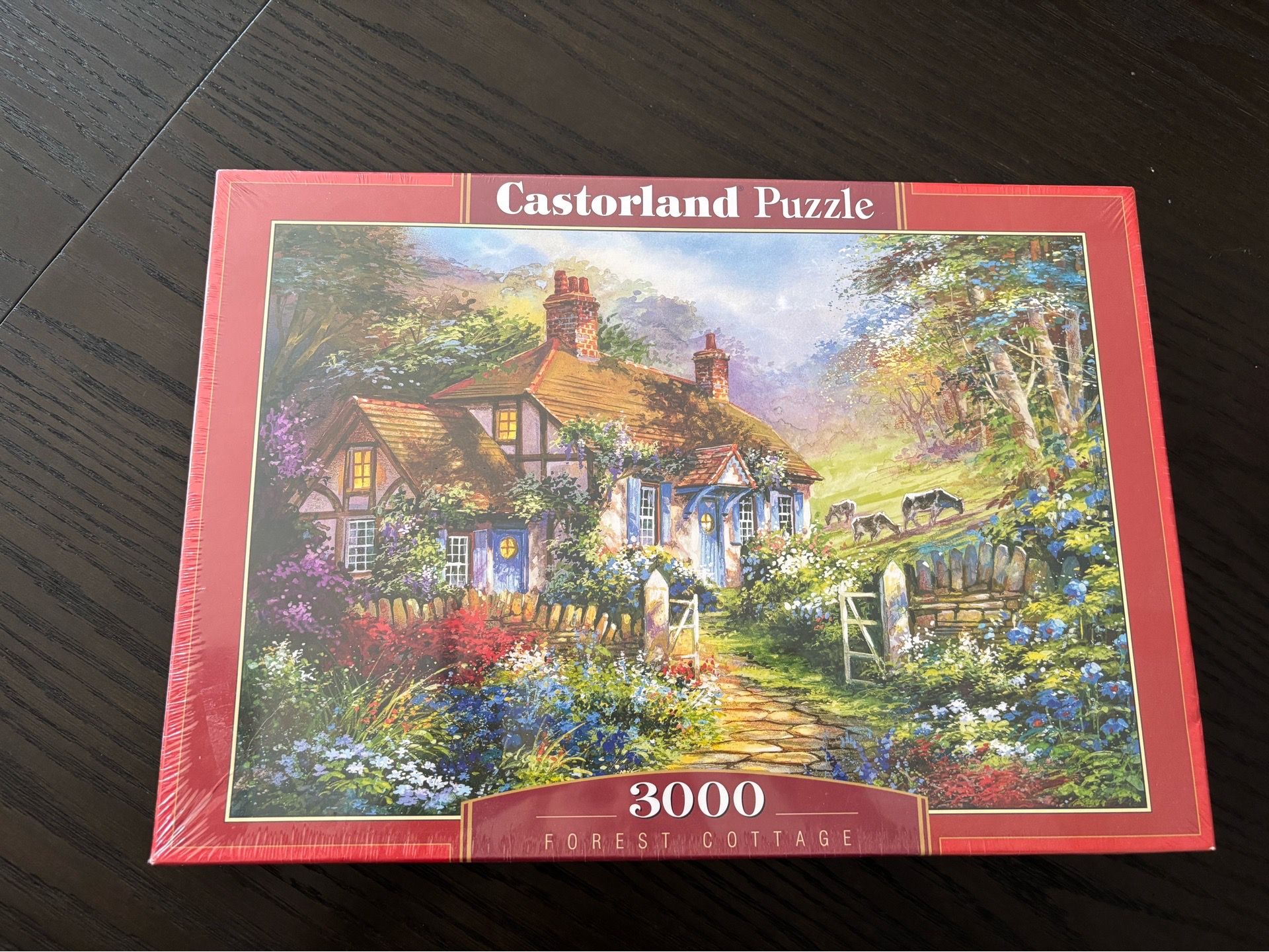 Castorland New 3000 Pieces Puzzle Cottage House