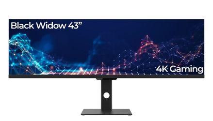 Black Widow 43" 4K Gaming Monitor