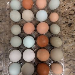 🐔 Corn-Free & Soy-Free Eggs 🥚