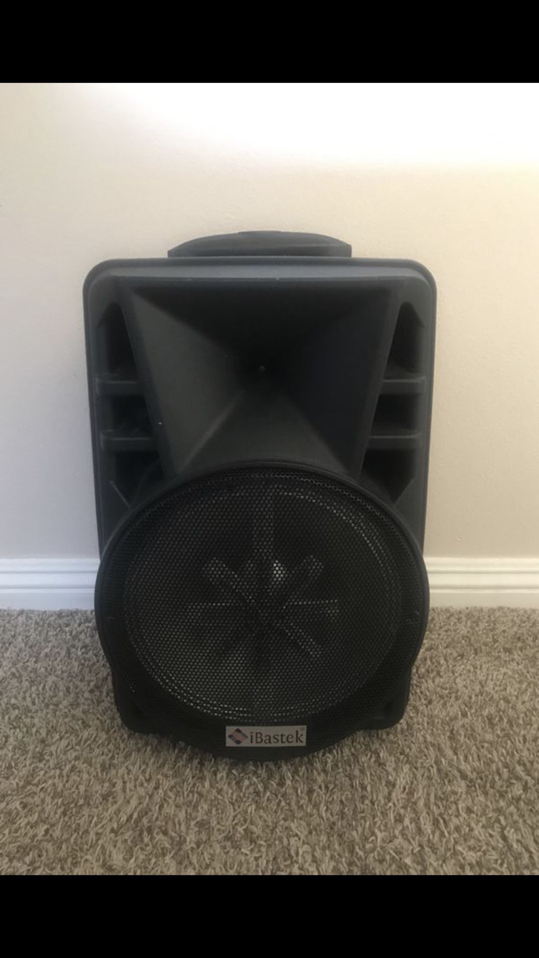 Ibastek bluetooth hotsell speaker 12 inch