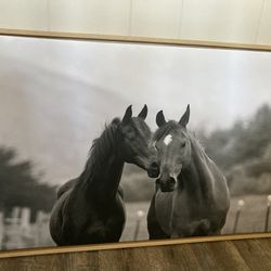 Horse Frame