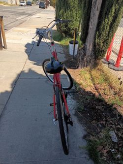 Schwinn XL