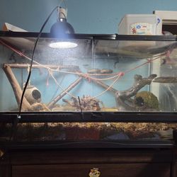 40 Gal Terrarium 