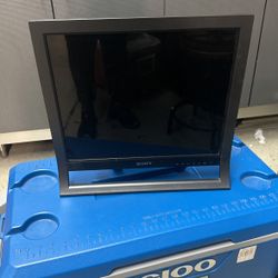 Computer Monitor 