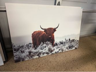 Highlander Horns by Jaap van den Canvas Wall Art Print
