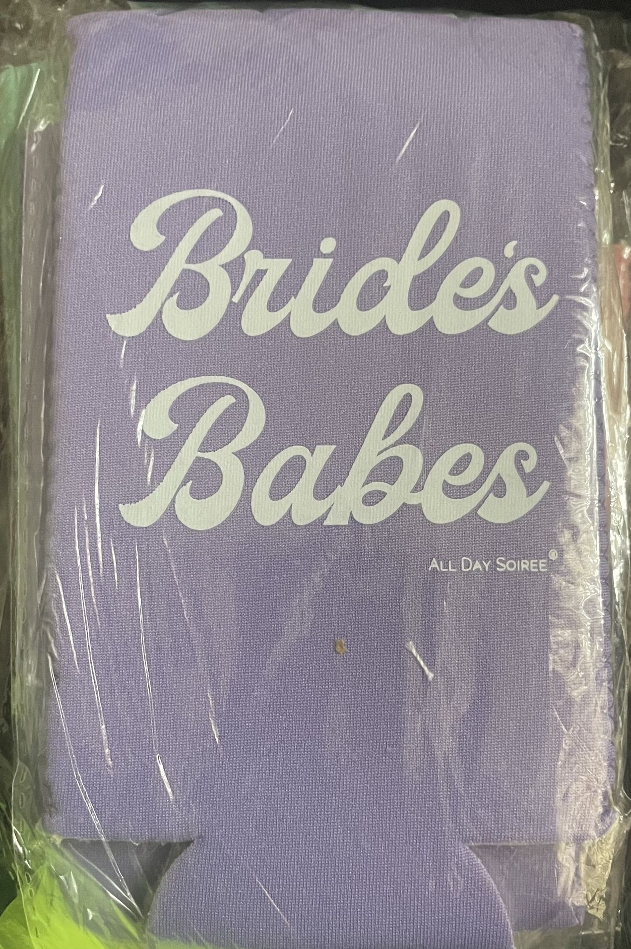 Babes And Bride Bachelorette Party Can Coolers