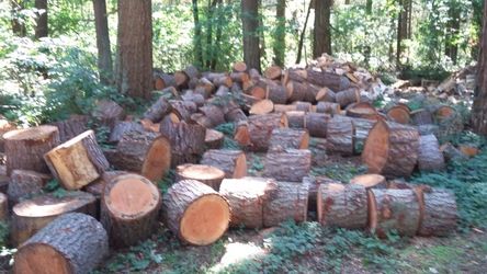Oak and maple firewood