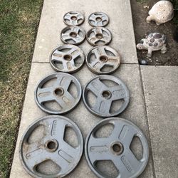 Weider Olympic Hammertone Weight Plates set