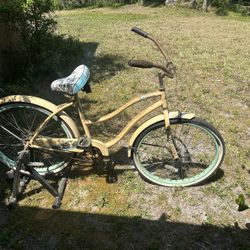 Beach Cruiser With Exercise Attachment 