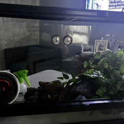 Reptile Enclosure 
