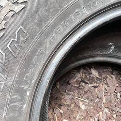 Auto Parts 