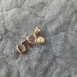 Chanel Charms