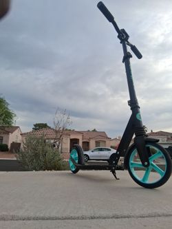 WAYPLUS KS1 Adjustable Foldable Kick Scooter