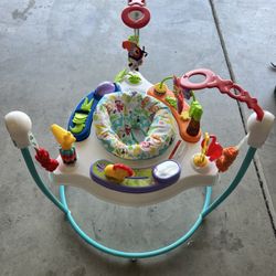 Fisher Price Baby Bouncer