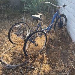 3 Wheel Bike Tricycle 