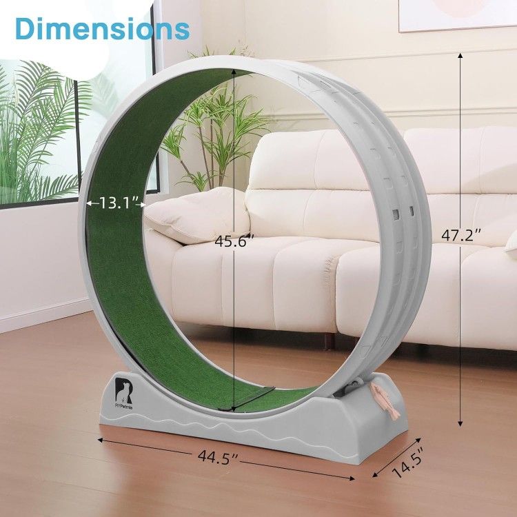47.2" Cat Exercise Wheel