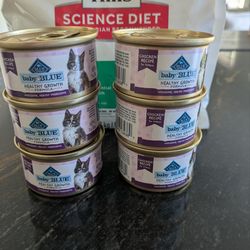 Kitten food dry and wet