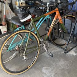 55 cm States Thunderbird Gravel Bike