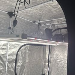 650w Luxx Grow Light 