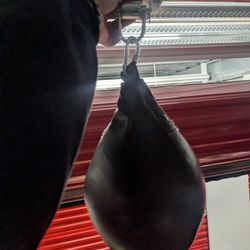Speed Bag W/ Mount 
