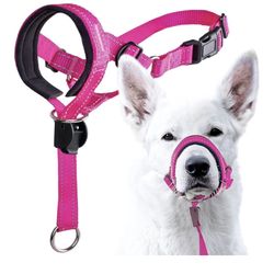 GoodBoy Dog Head Halter with Safety Strap